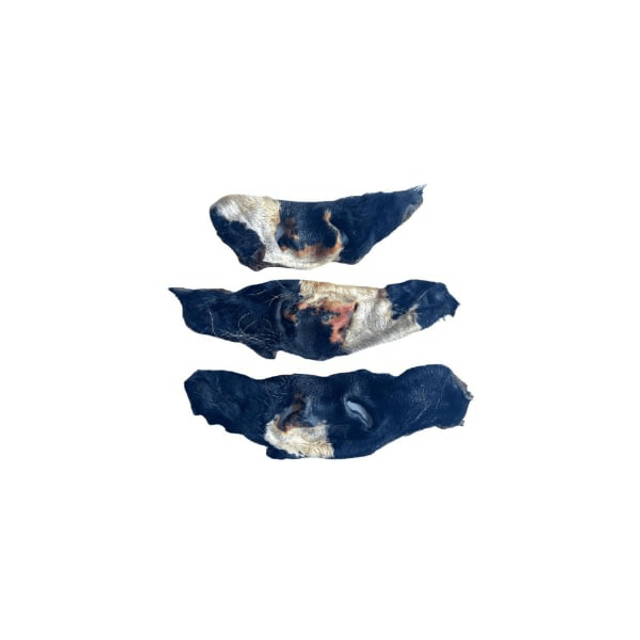 Cow Snout With Fur