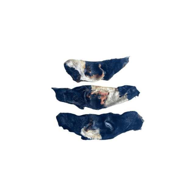 Cow Snout With Fur