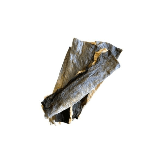 Fish Flattie