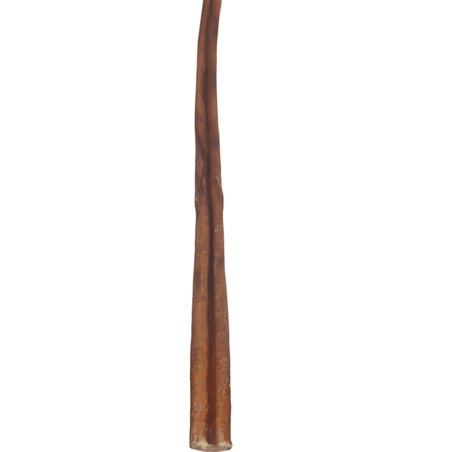 Pizzle Grade A XL (Bully)