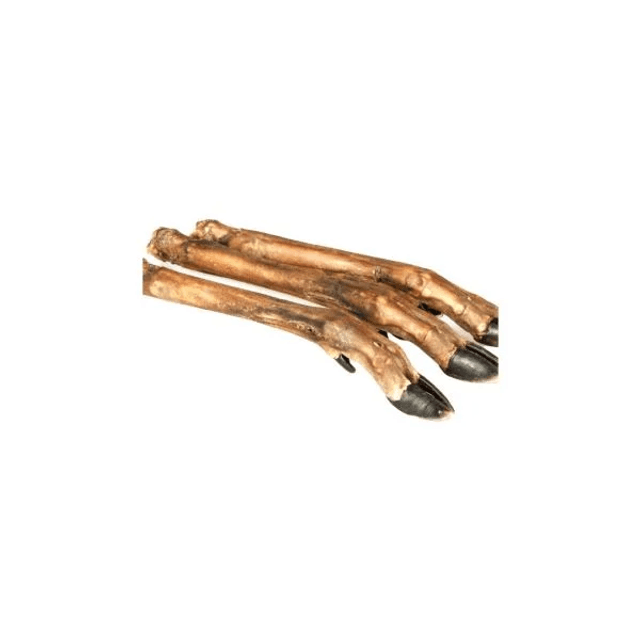 Deer Leg Small