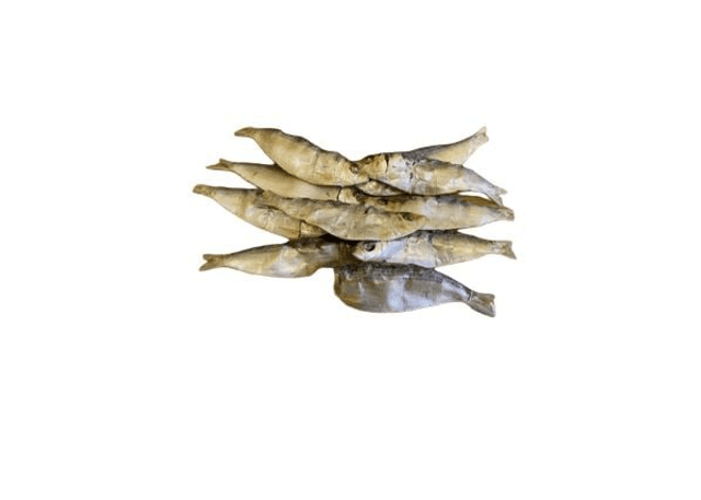 Sardines 