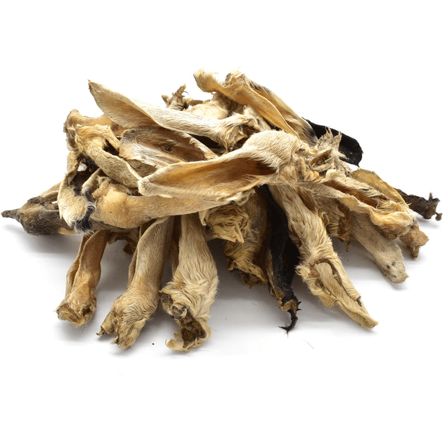 Lamb Ear (Hairy)