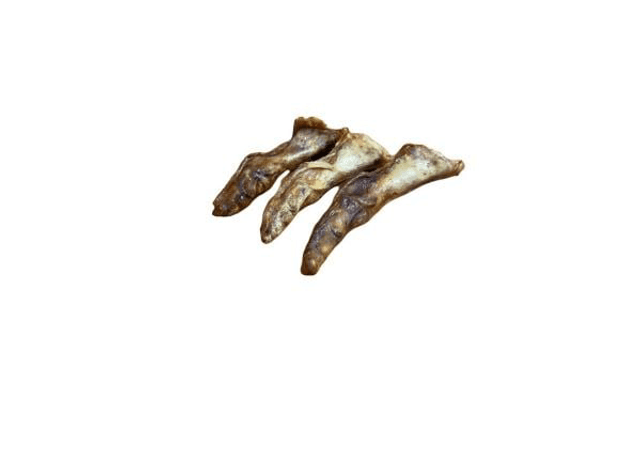 Ostrich Feet
