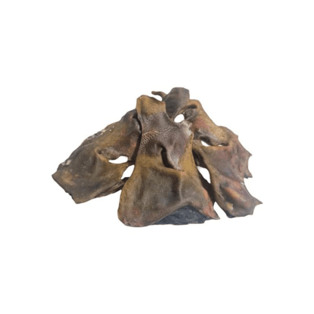 Cow Snout