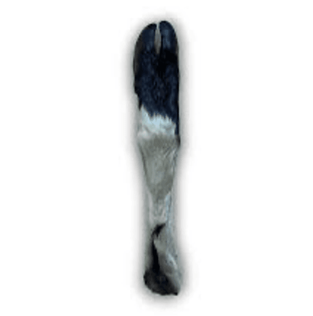 Goat Feet (Hairy)